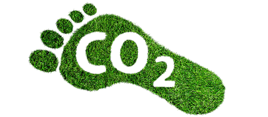 Co2-Fußabdruck in der Nacchaltigkeit