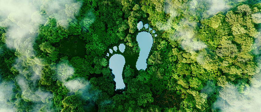 Ein Bild eines Waldgebietes von oben. Es sind zwei große Fußabdrücke zu sehen.
