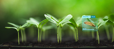 Anomalieerkennung bei Pflanzen mit der IDS NXT